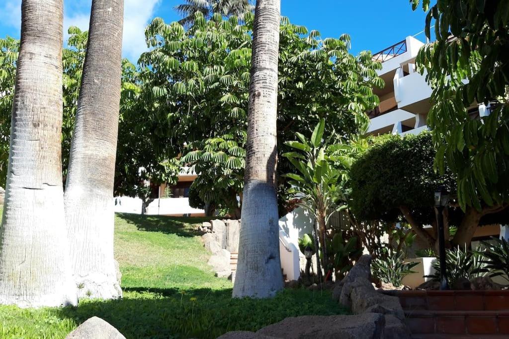 Apartment With Pool And Gardens Near The Coast Сан Мигел де Абона Екстериор снимка